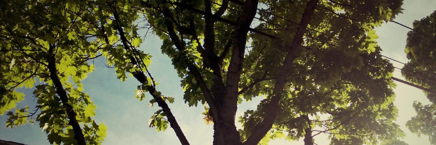 flook's profile banner image