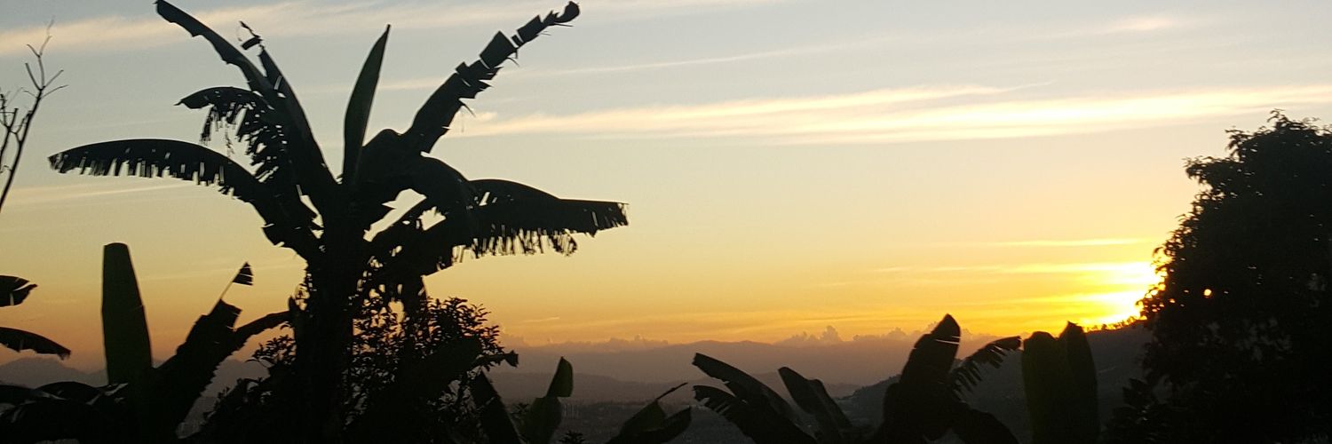 buena_mesa's profile banner image