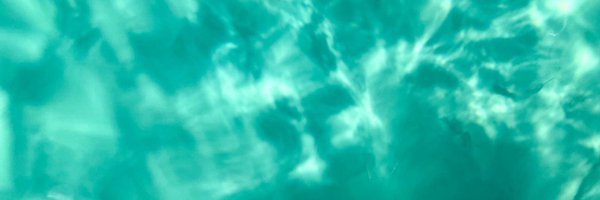 CatcherSass Profile Banner