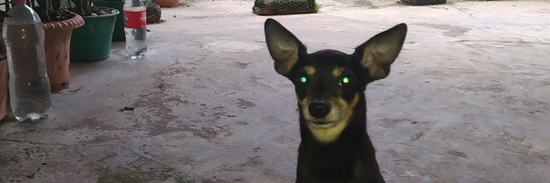 victohrive's profile banner image