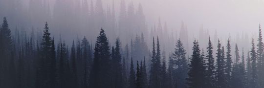 ACalleja22's profile banner image