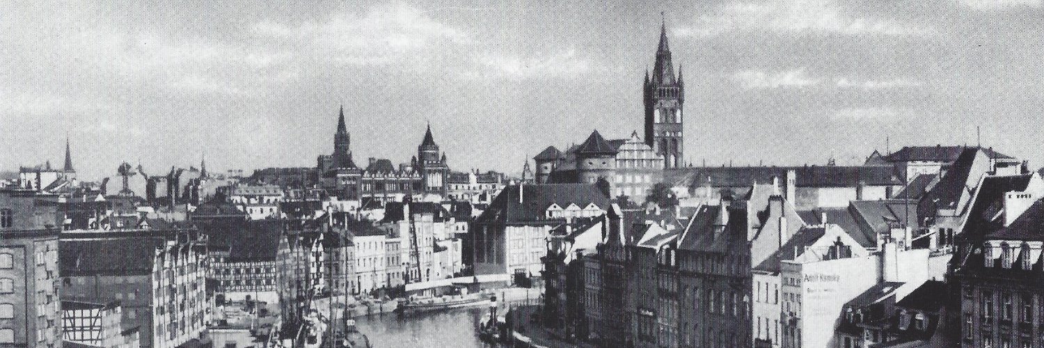 rexbirkin's profile banner image