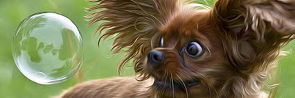 PerroPicha Profile Banner