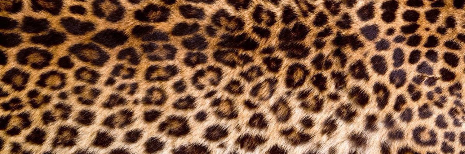 Vuhhleriahh's profile banner image