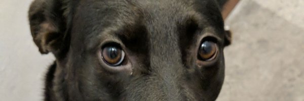 Jbone22856075 Profile Banner