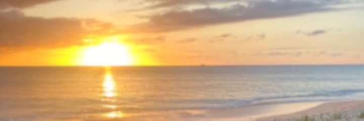 youngwunna✨ banner