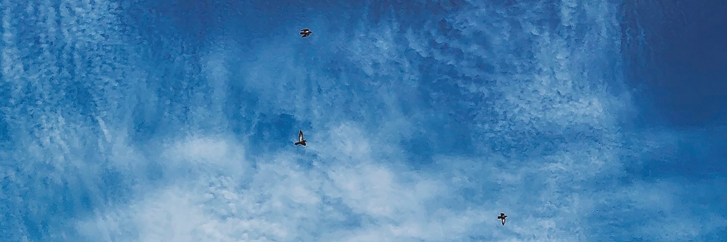 Decaying Spheres banner