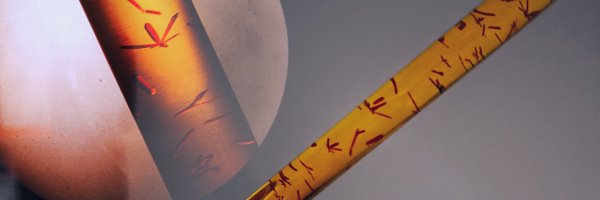 SciChemKMJ Profile Banner