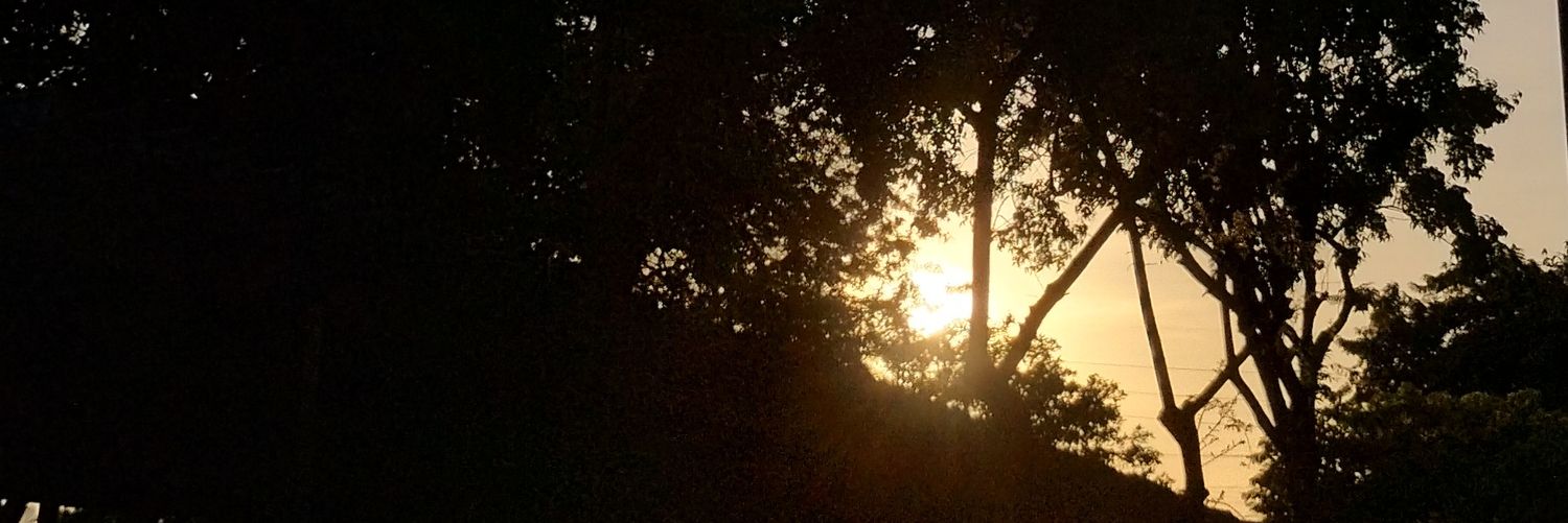 caianeoriginal's profile banner image