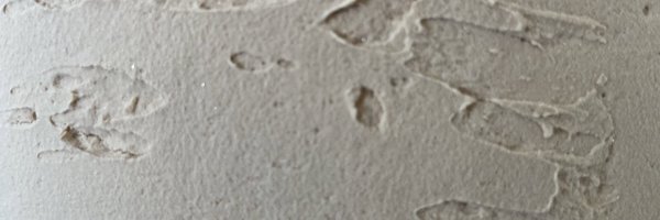 ShaneWood_ Profile Banner