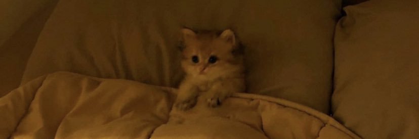 Etrit 🇽🇰 banner