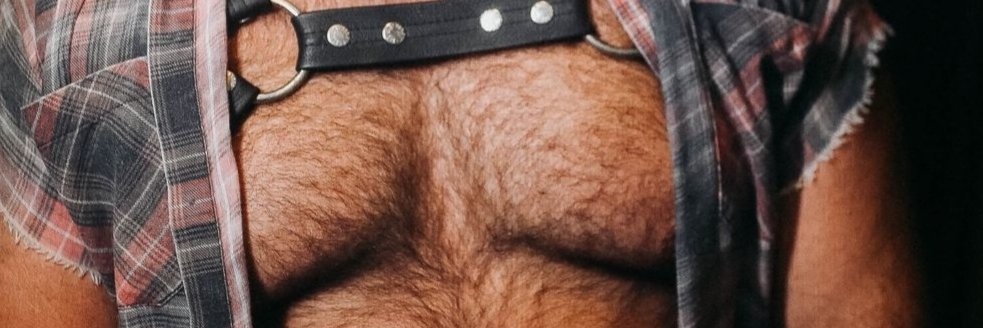 Brazilian Bear banner