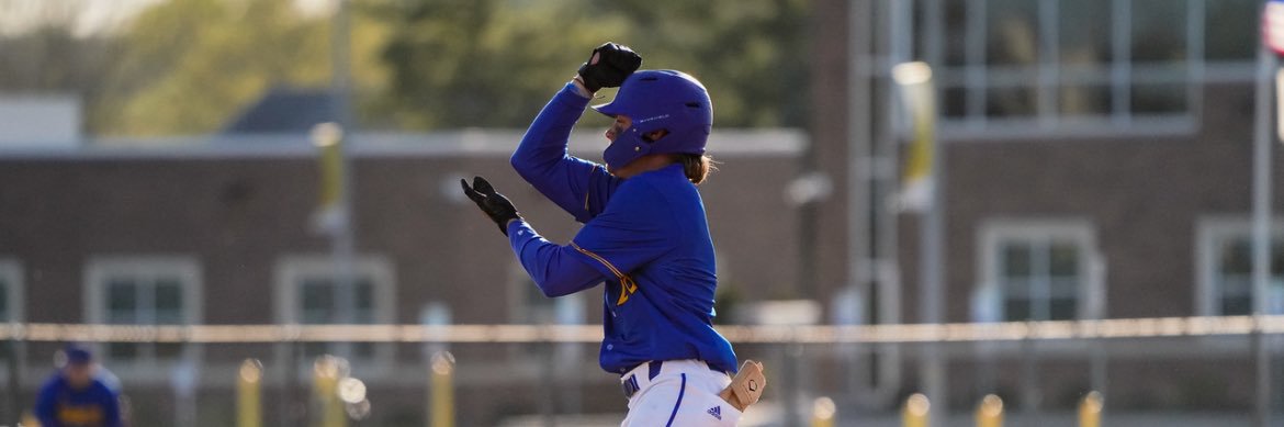 Max D’Alessandro banner