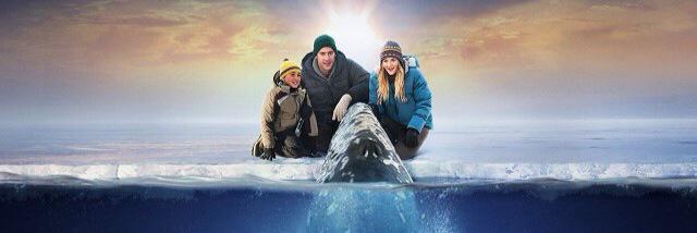 reddevil183's profile banner image