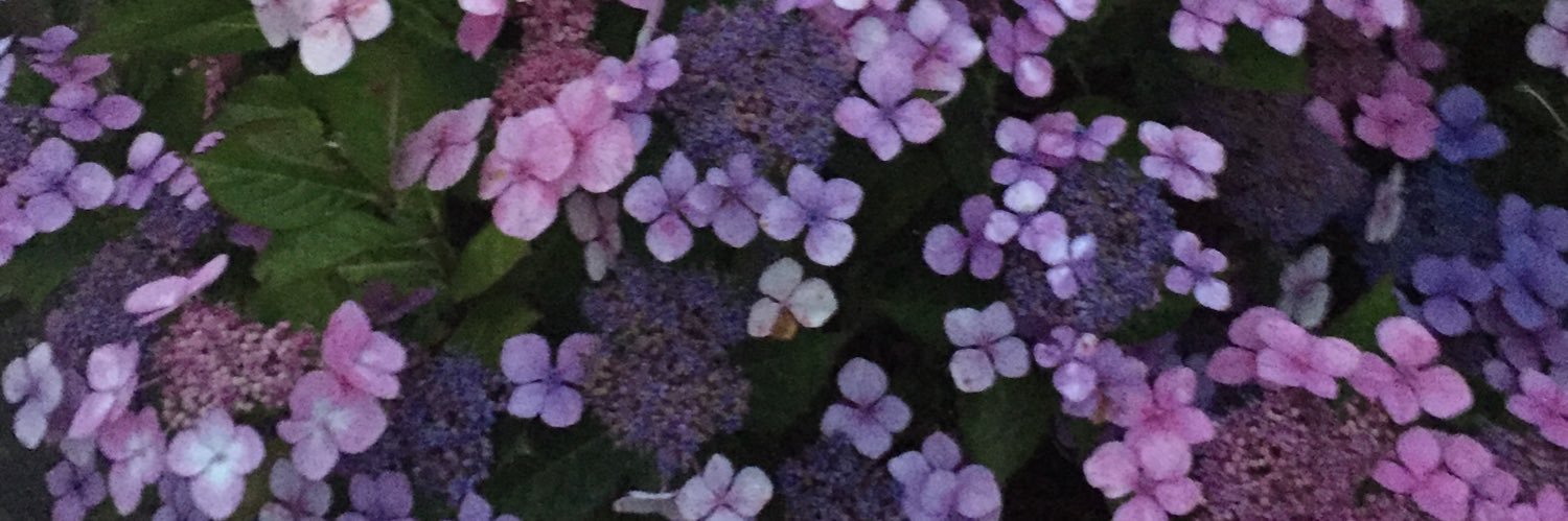 beth_dolman_'s profile banner image