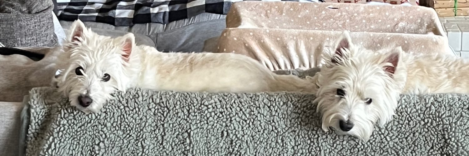 HitwithBrad's profile banner image