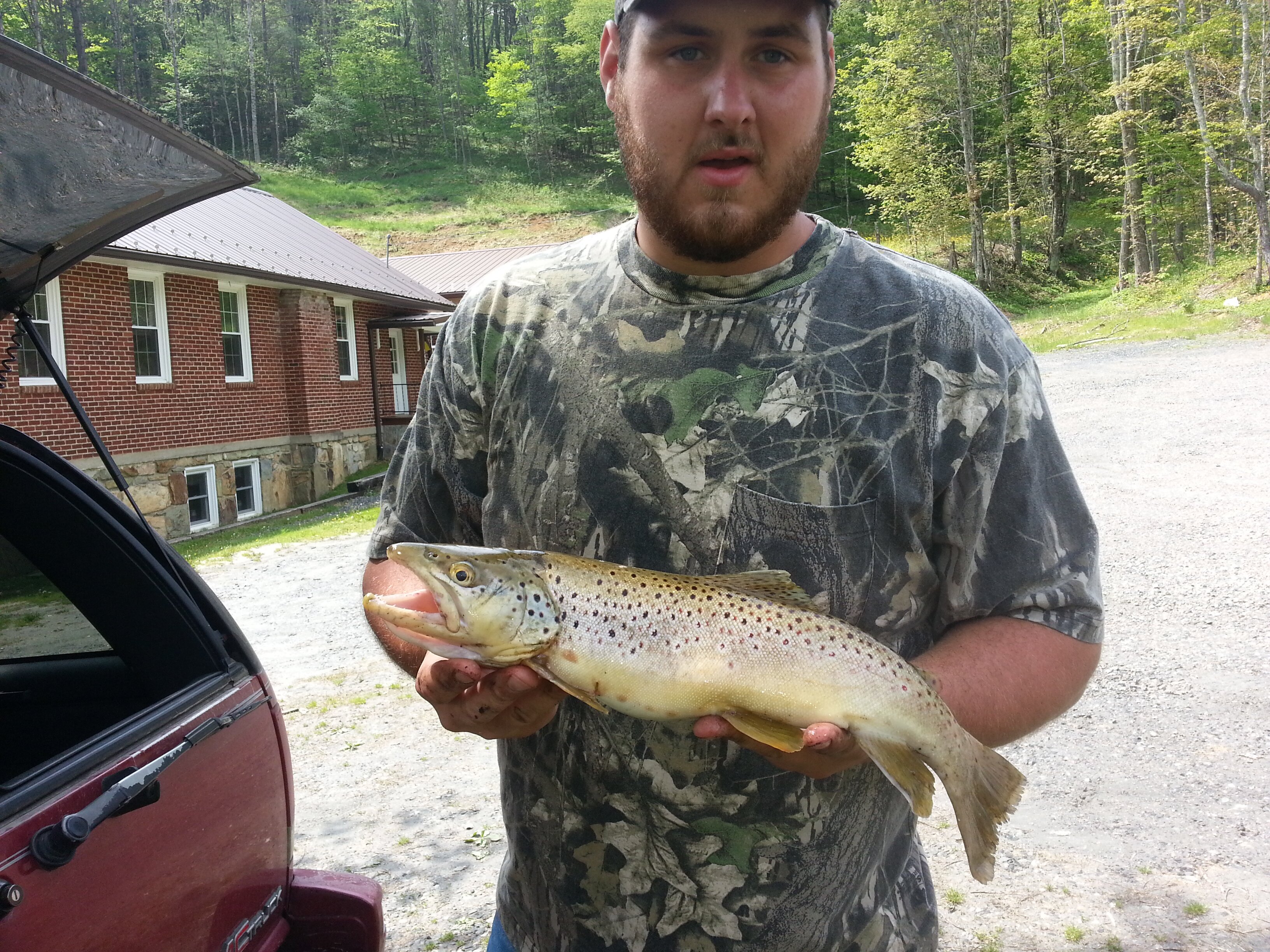 Fisher Minto banner