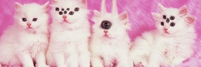 kar_elly's profile banner image