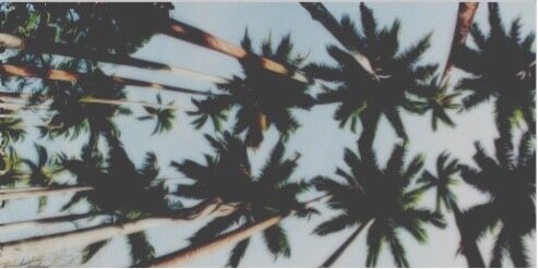 BIEBERINSIDER1's profile banner image
