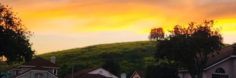 TrudaAugustine banner