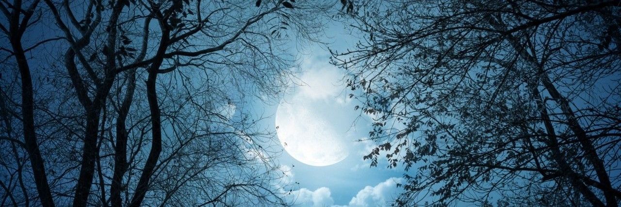 _LunarPhantom_'s profile banner image