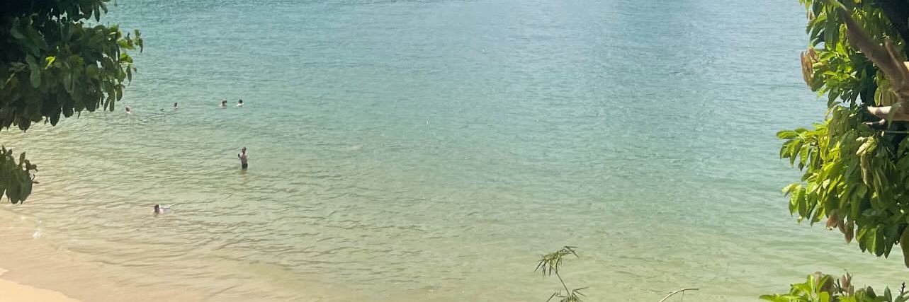 DiiDii⭐️⭐️ banner