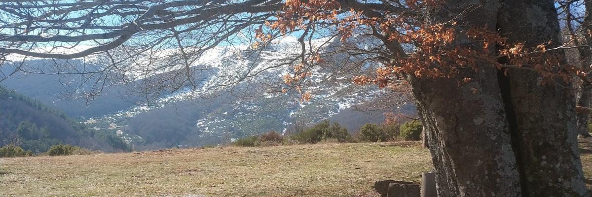 Manuel Gil Mediavilla banner