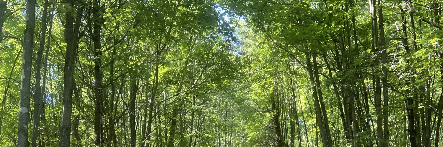 marstrebe's profile banner image