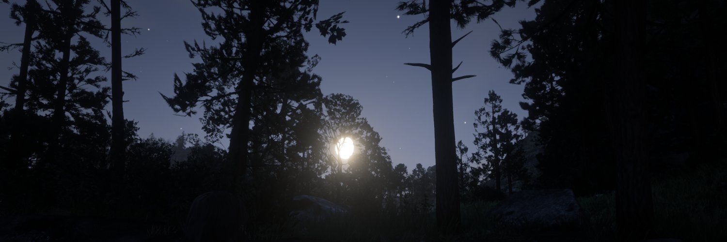 naphelion_'s profile banner image