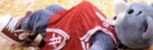 ‎Dorp 🦦 banner