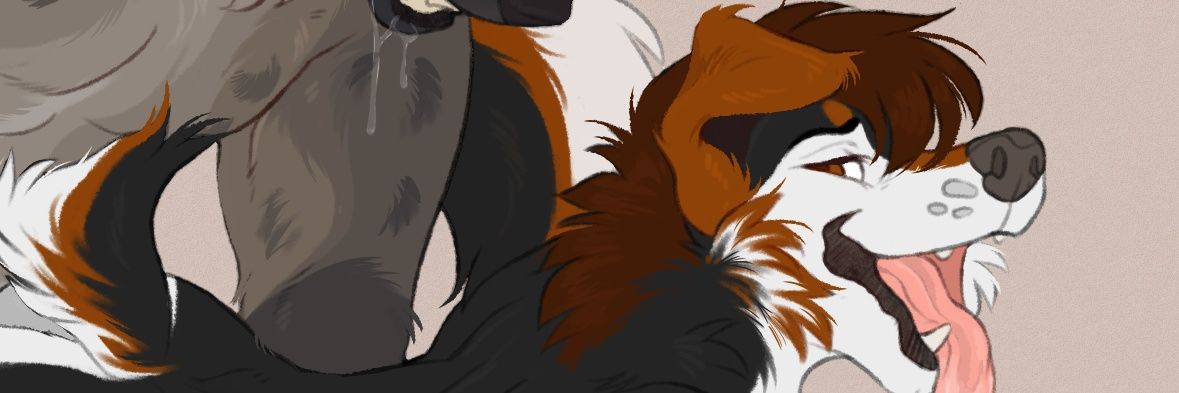 CollieButt banner