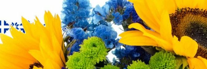 Svitlana's banner