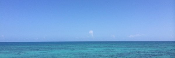 MMcSweeney7 Profile Banner
