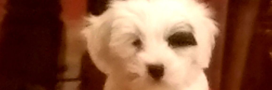 VaineMark's profile banner image