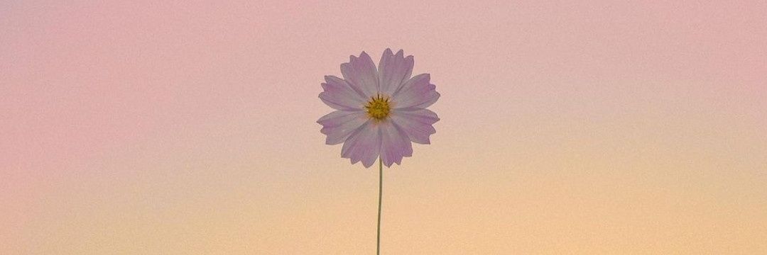 Cynjoon's profile banner image