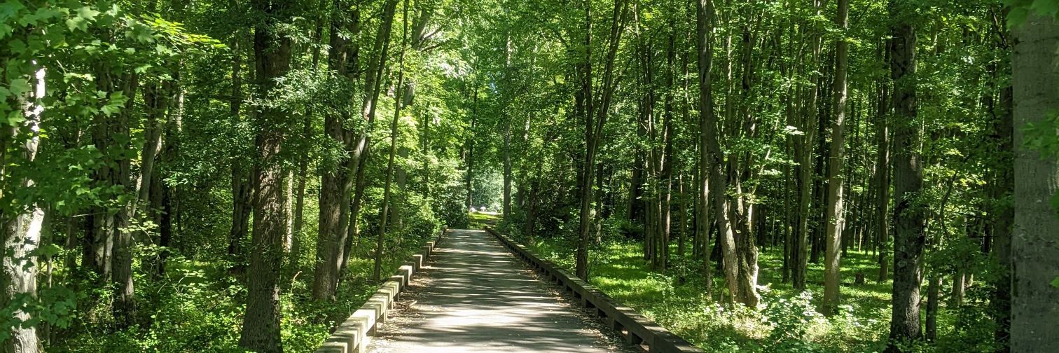 Kevin Maccarella banner