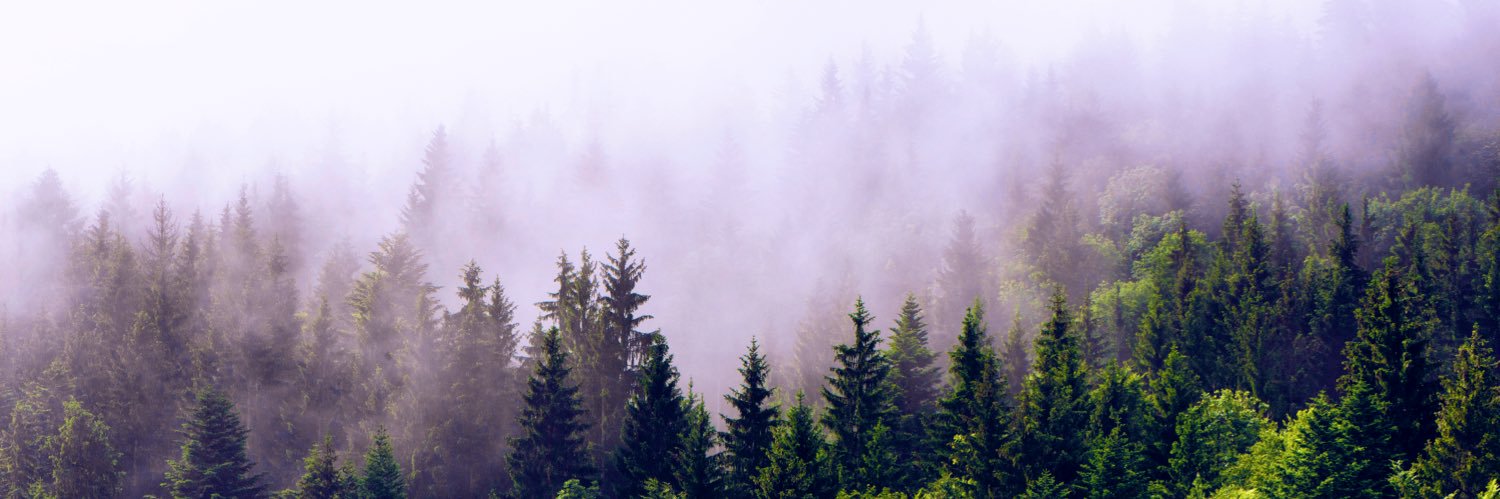 HopwoodPhil's profile banner image