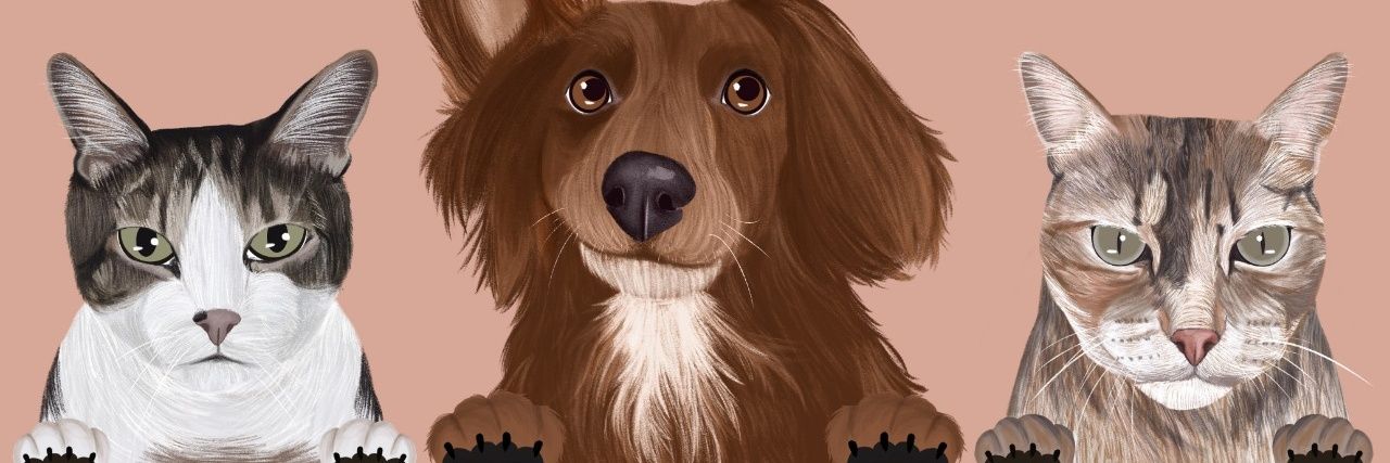 Rodrigoverso_'s profile banner image