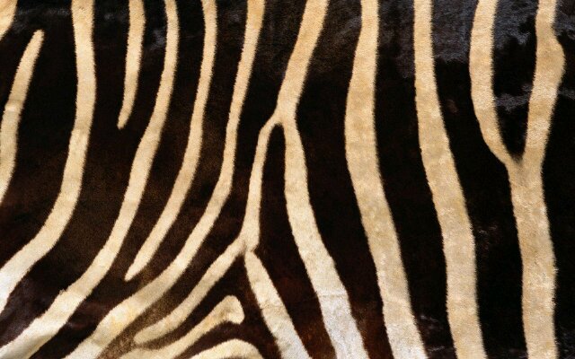 awindul's profile banner image