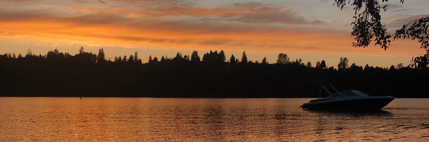 Chris Johnson banner