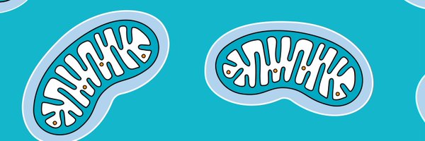 sciscribbles Profile Banner