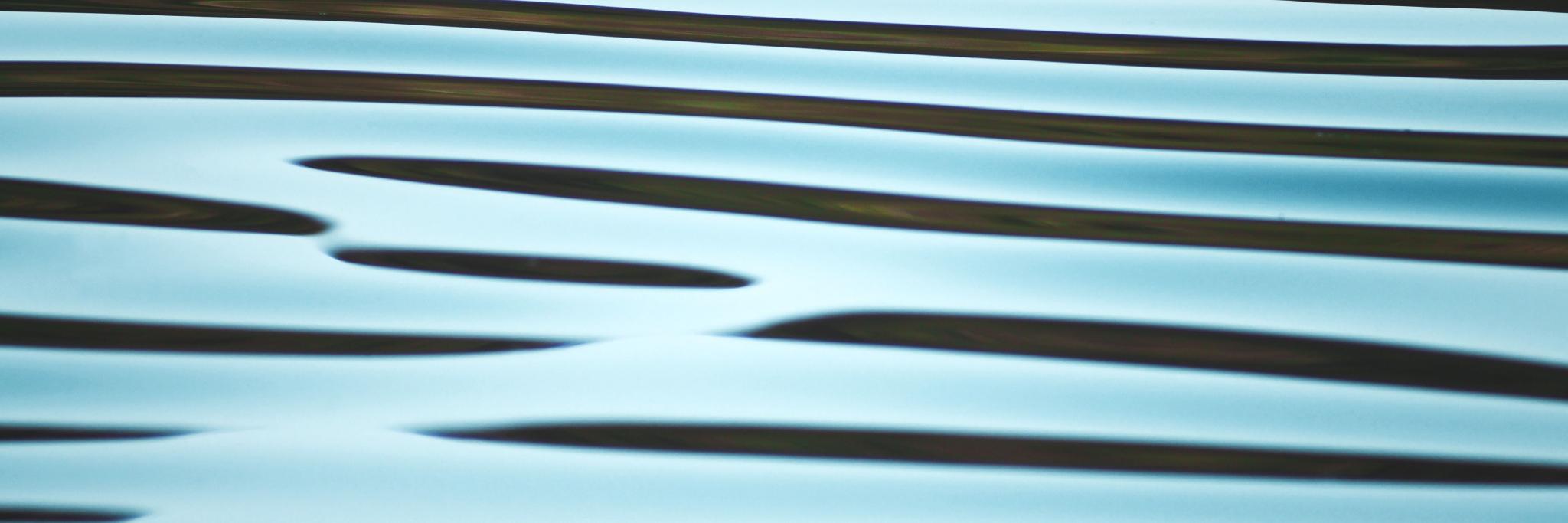 CoPPA East Midlands banner