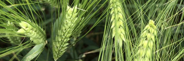 leithbenbecher Profile Banner