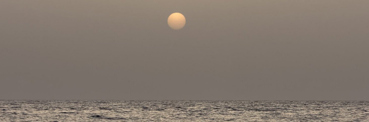 melovedly's profile banner image