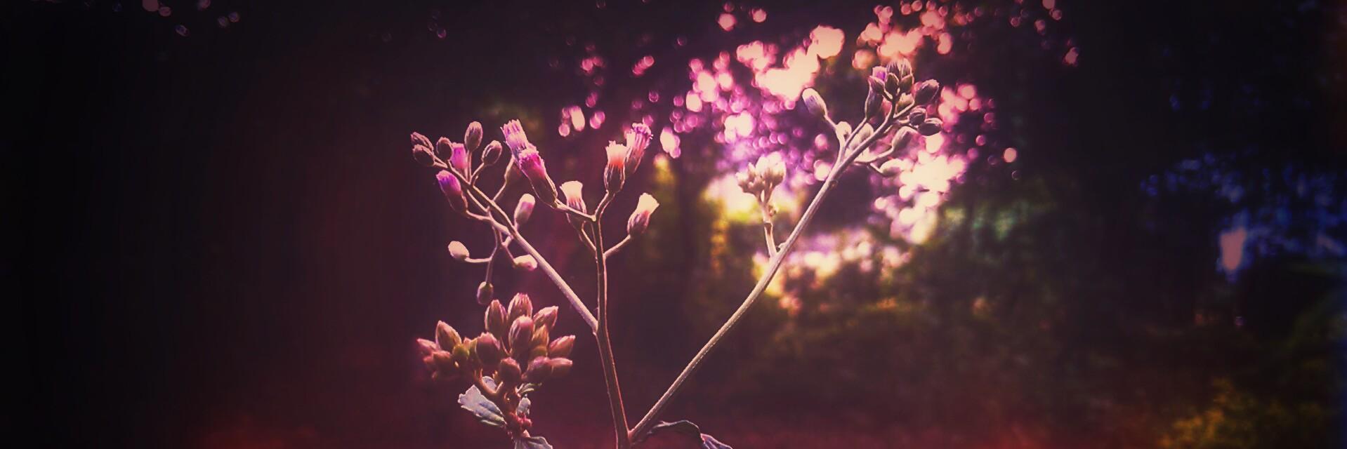 yashrt's profile banner image
