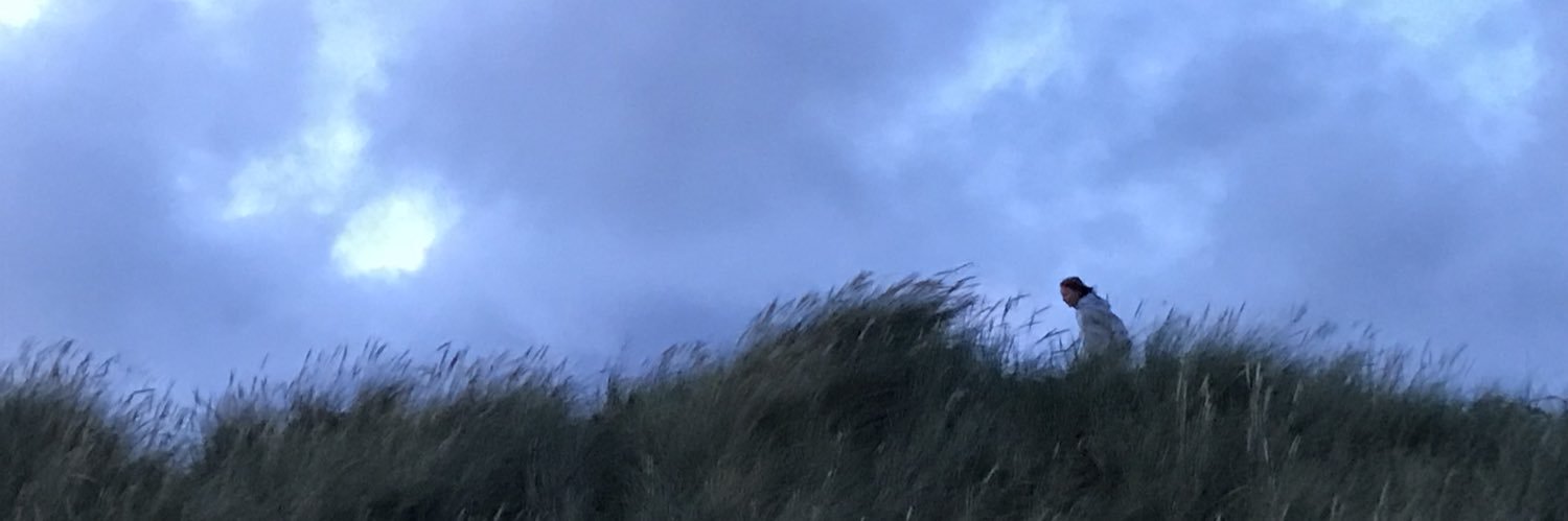 Stefanololo's profile banner image