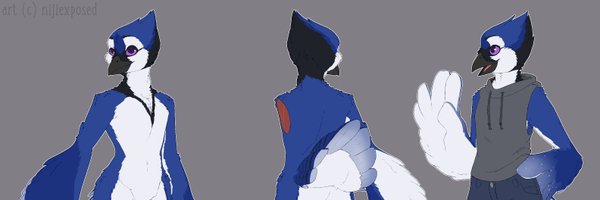 CBrightwing Profile Banner