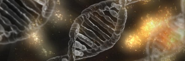 CynthiaBrame Profile Banner