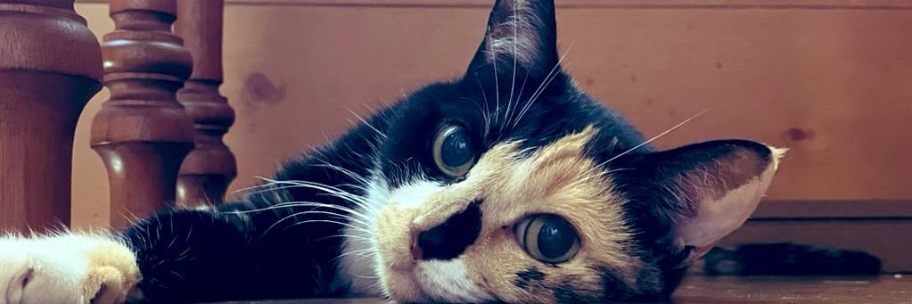 ただのゆうたろう banner