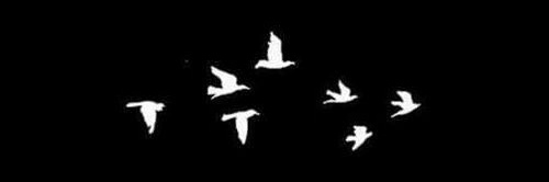 svmrrdse's profile banner image